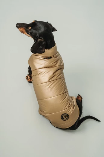 FORNI TACSKÓ KUTYARUHA