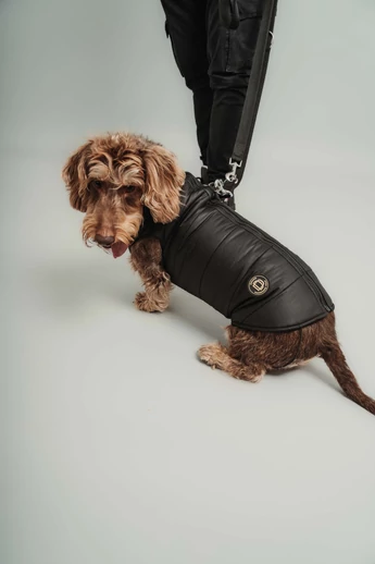 ZIRMA TACSKÓ KUTYARUHA BEÉPÍTETT HÁMMAL 