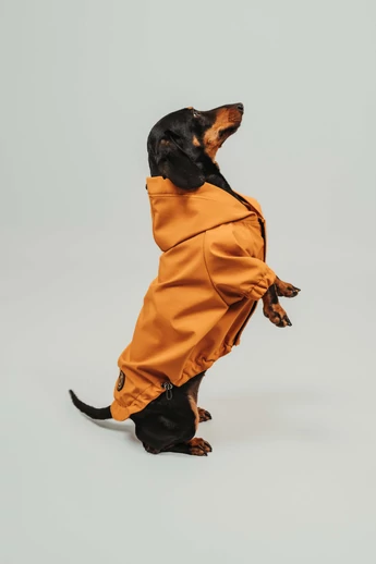 REMO TACSKÓ ESŐKABÁT