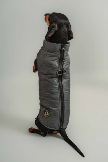 ZIRMA TACSKÓ KUTYARUHA BEÉPÍTETT HÁMMAL 