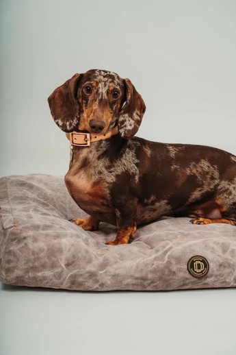 JANNA MÁRVÁNY FARMER FEKHELY 