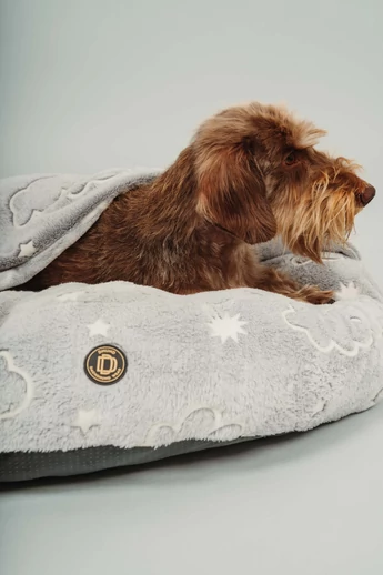 POLLO VILÁGÍTÓS BEBÚJÓS FEKHELY