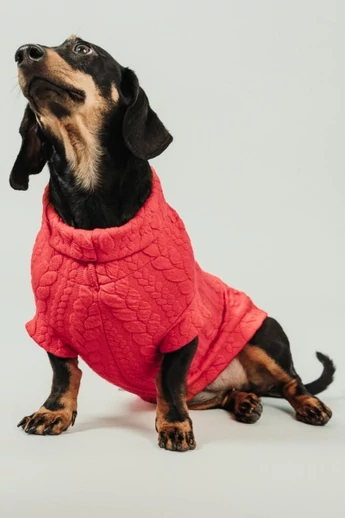 FAUNA TACSKÓ PULÓVER