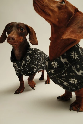 KARÁCSONYI TACSKÓ PULÓVER