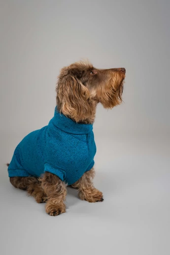 ZELNA TACSKÓ PULÓVER