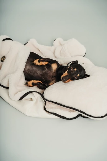 MORO TAKARÓ ÉS PÁRNA SZETT