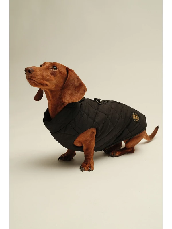 ZIRMA TACSKÓ KUTYARUHA ROMBUSZOS BEÉPÍTETT HÁMMAL 