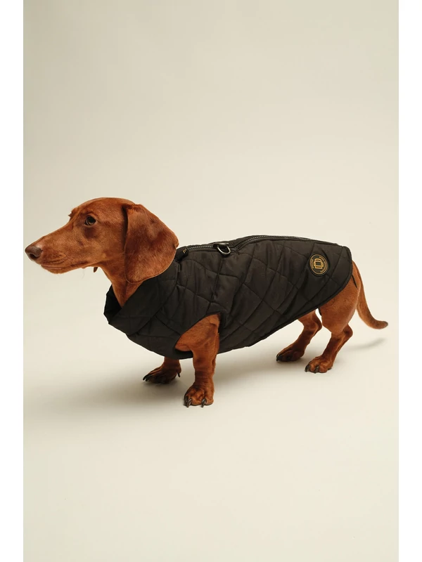 ZIRMA TACSKÓ KUTYARUHA ROMBUSZOS BEÉPÍTETT HÁMMAL 