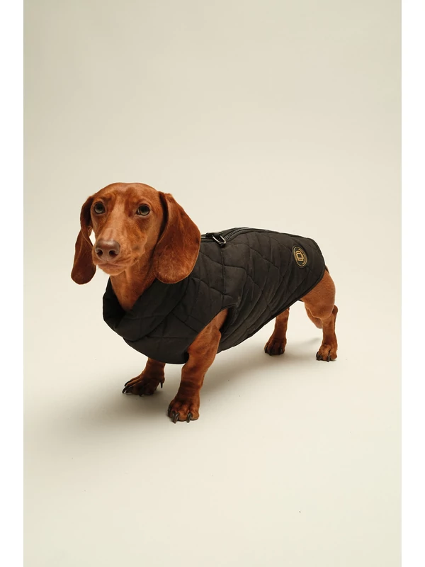 ZIRMA TACSKÓ KUTYARUHA ROMBUSZOS BEÉPÍTETT HÁMMAL 