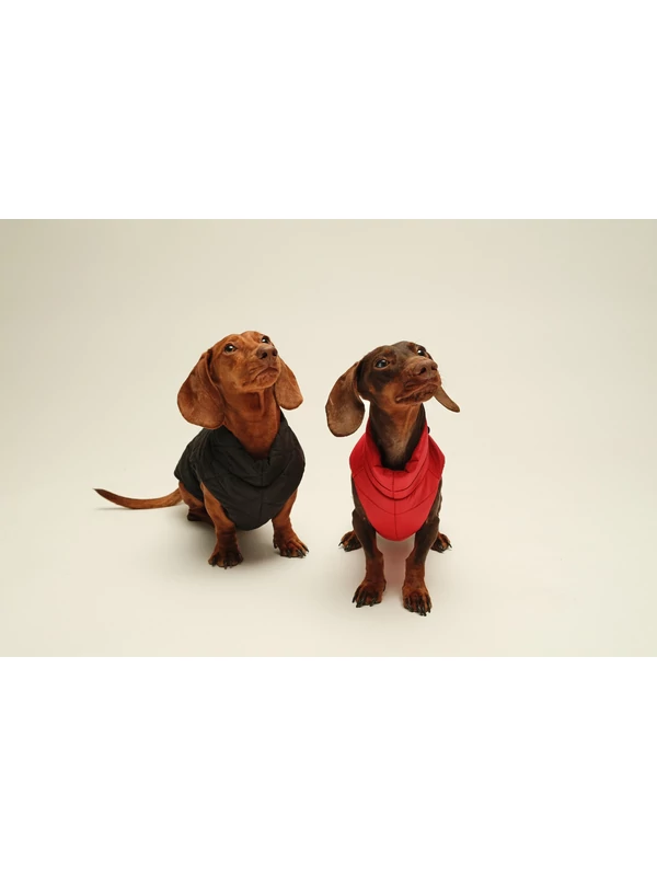 ZIRMA TACSKÓ KUTYARUHA ROMBUSZOS BEÉPÍTETT HÁMMAL 