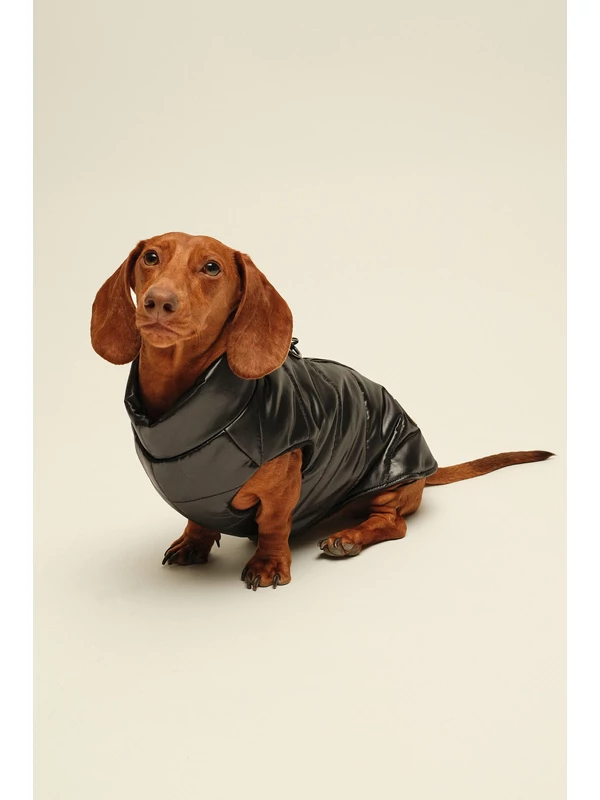 ZIRMA TACSKÓ KUTYARUHA BEÉPÍTETT HÁMMAL 