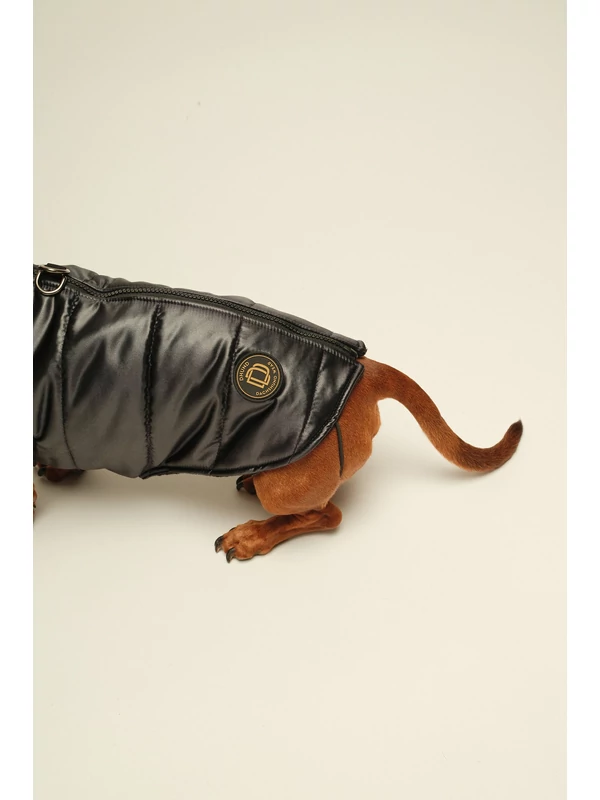 ZIRMA TACSKÓ KUTYARUHA BEÉPÍTETT HÁMMAL 