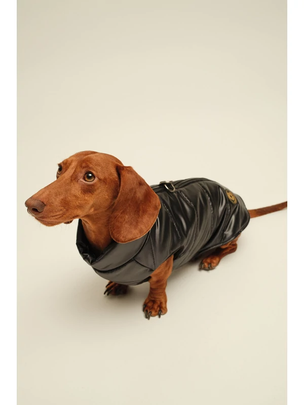 ZIRMA TACSKÓ KUTYARUHA BEÉPÍTETT HÁMMAL 