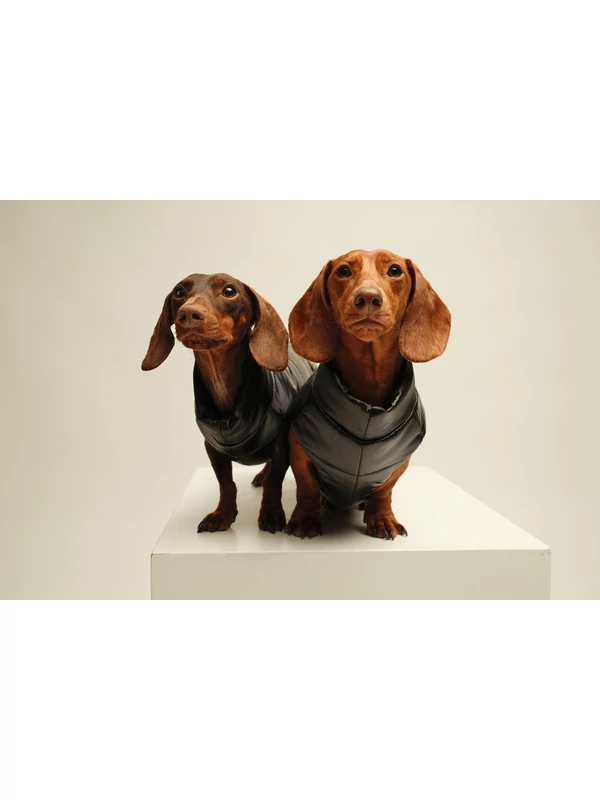 ZIRMA TACSKÓ KUTYARUHA BEÉPÍTETT HÁMMAL 