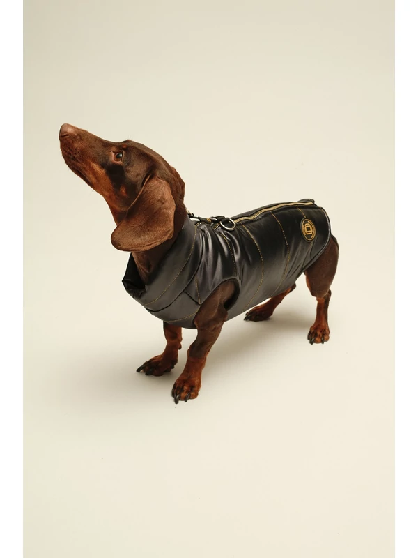 ZIRMA TACSKÓ KUTYARUHA BEÉPÍTETT HÁMMAL (KISLÁNY VERZIÓ)