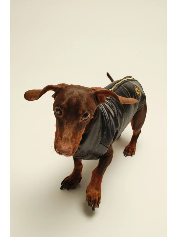 ZIRMA TACSKÓ KUTYARUHA BEÉPÍTETT HÁMMAL (KISLÁNY VERZIÓ)