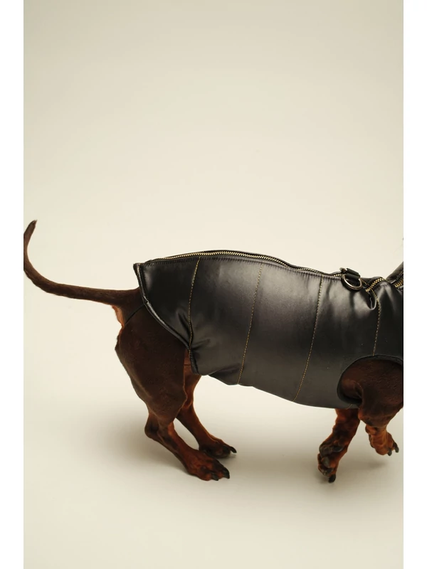 ZIRMA TACSKÓ KUTYARUHA BEÉPÍTETT HÁMMAL (KISLÁNY VERZIÓ)