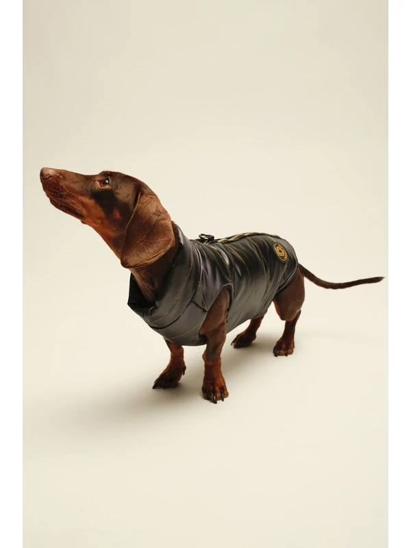 ZIRMA TACSKÓ KUTYARUHA BEÉPÍTETT HÁMMAL (KISLÁNY VERZIÓ)