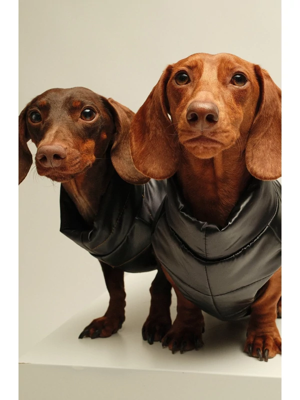 ZIRMA TACSKÓ KUTYARUHA BEÉPÍTETT HÁMMAL (KISLÁNY VERZIÓ)