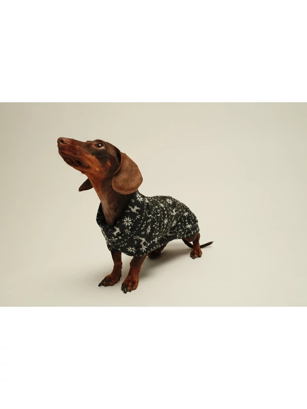 KARÁCSONYI TACSKÓ PULÓVER