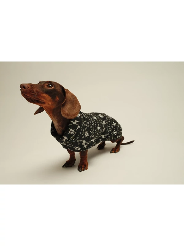 KARÁCSONYI TACSKÓ PULÓVER