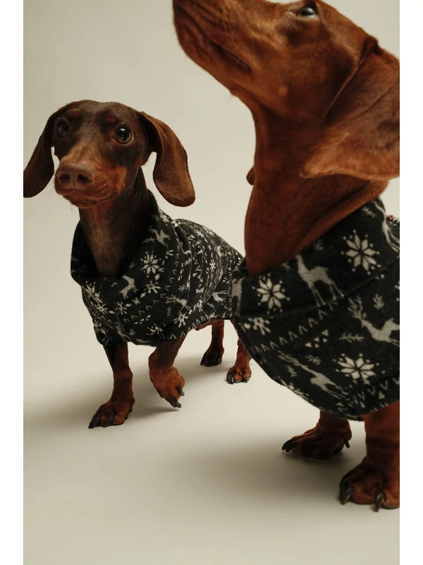 KARÁCSONYI TACSKÓ PULÓVER