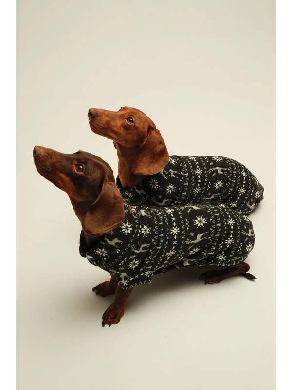 KARÁCSONYI TACSKÓ PULÓVER