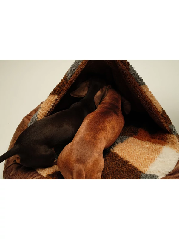 POLLO BEBÚJÓS FEKHELY