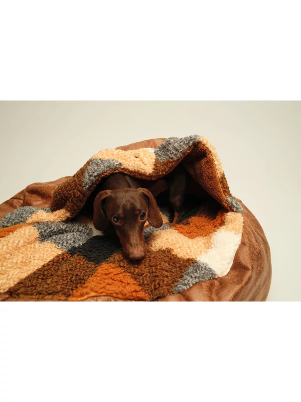 POLLO BEBÚJÓS FEKHELY