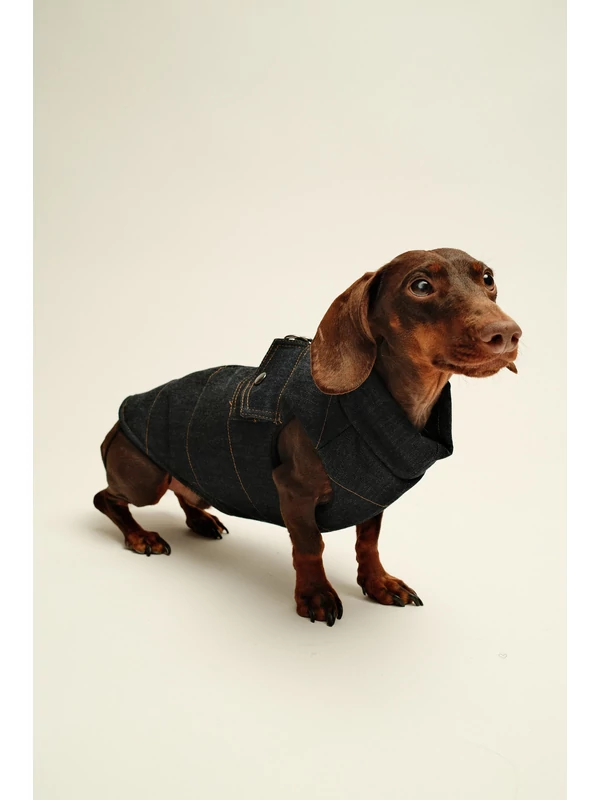 ZIRMA JEANS TACSKÓ KUTYARUHA BEÉPÍTETT HÁMMAL 