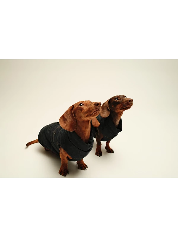 ZIRMA JEANS TACSKÓ KUTYARUHA BEÉPÍTETT HÁMMAL 