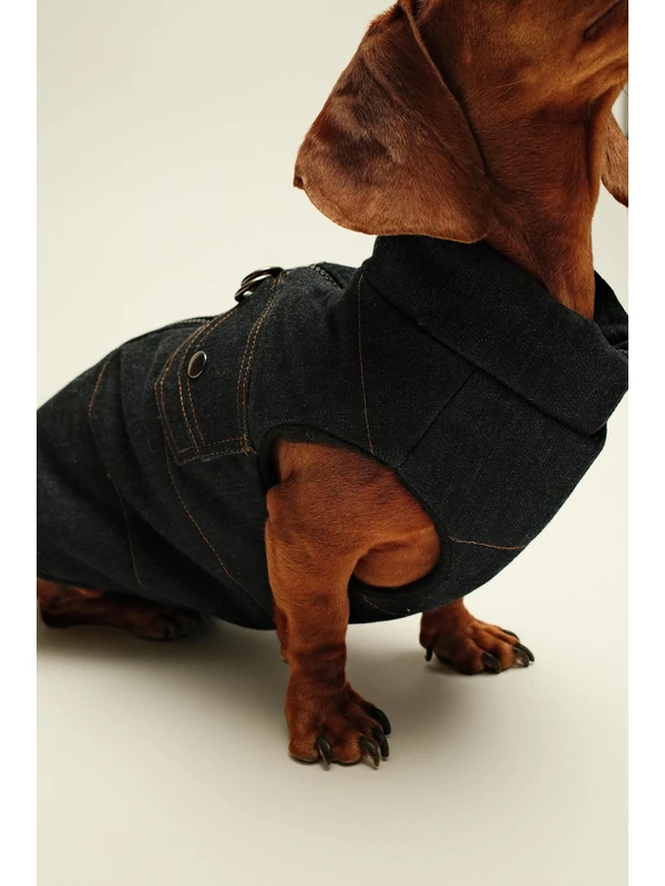 ZIRMA JEANS TACSKÓ KUTYARUHA BEÉPÍTETT HÁMMAL 