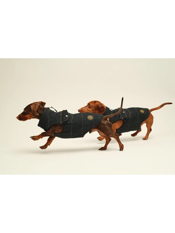 ZIRMA JEANS TACSKÓ KUTYARUHA BEÉPÍTETT HÁMMAL 